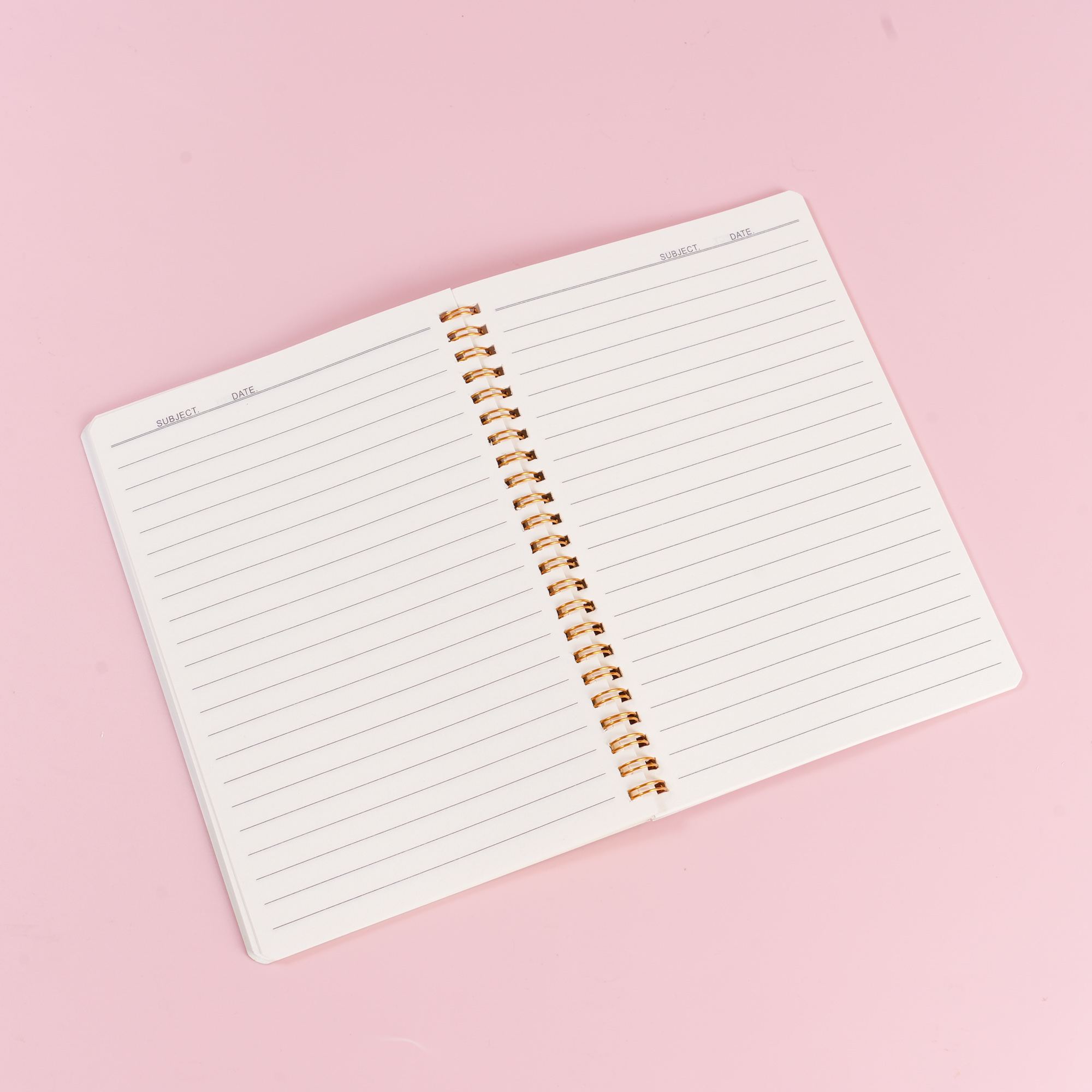 32K Capybara Glitter Spiral Notebook 40 sheets
