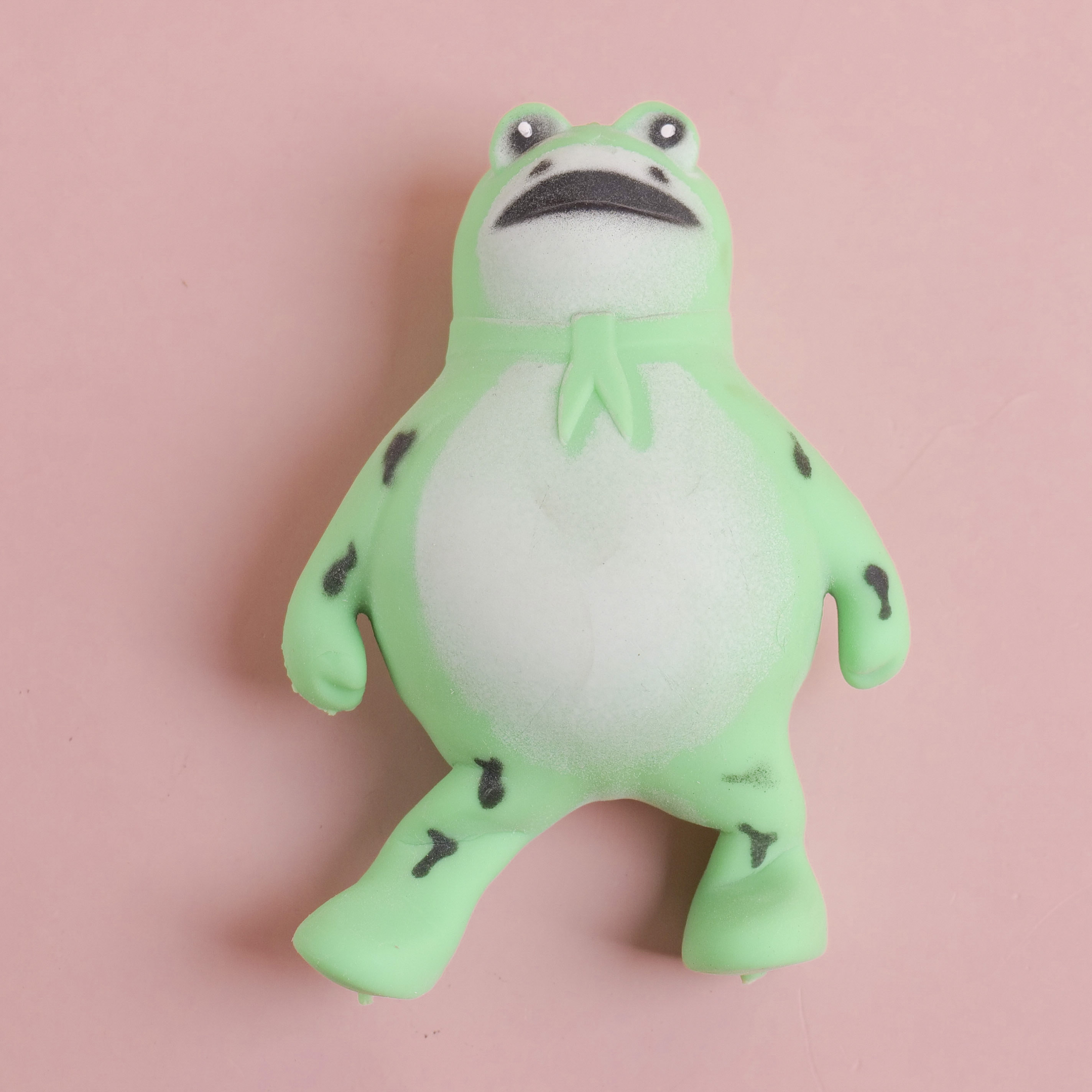 Frog Squishy Toy